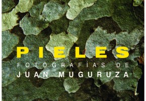 PIELES. Exposición fotográfica de Jan Muguruza
2012. Cartel Exposición PIELES en el Real Jardín Botánico de Madrid
